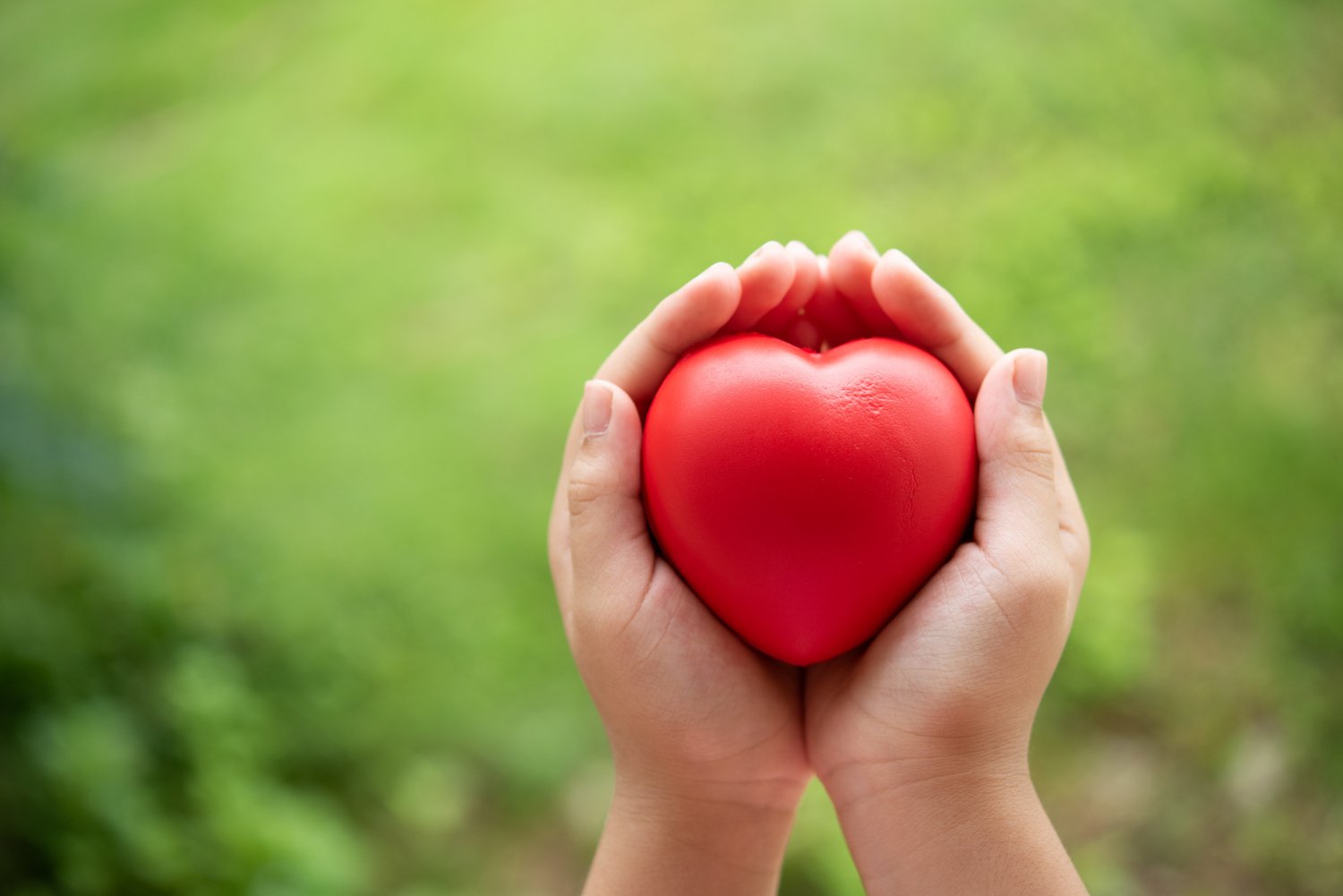 A New Heart, A New Life: Successful Heart Transplant Gives Hope