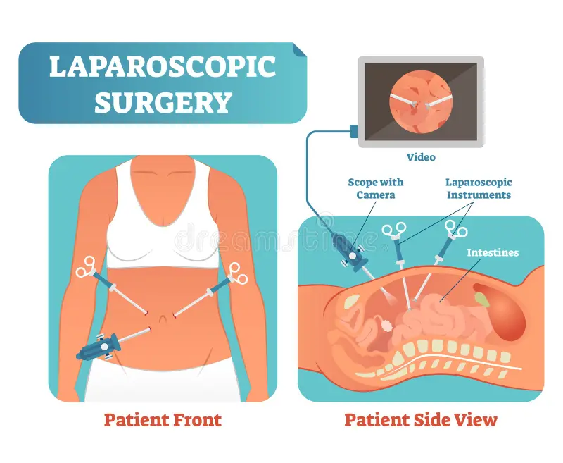 Surgery Department